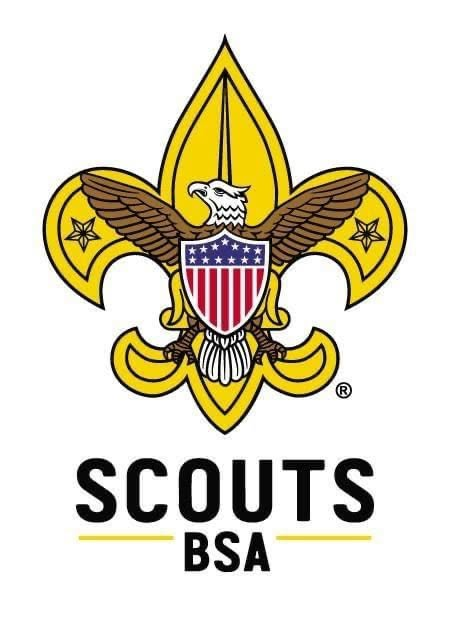 Scouts BSA Troop 220 logo
